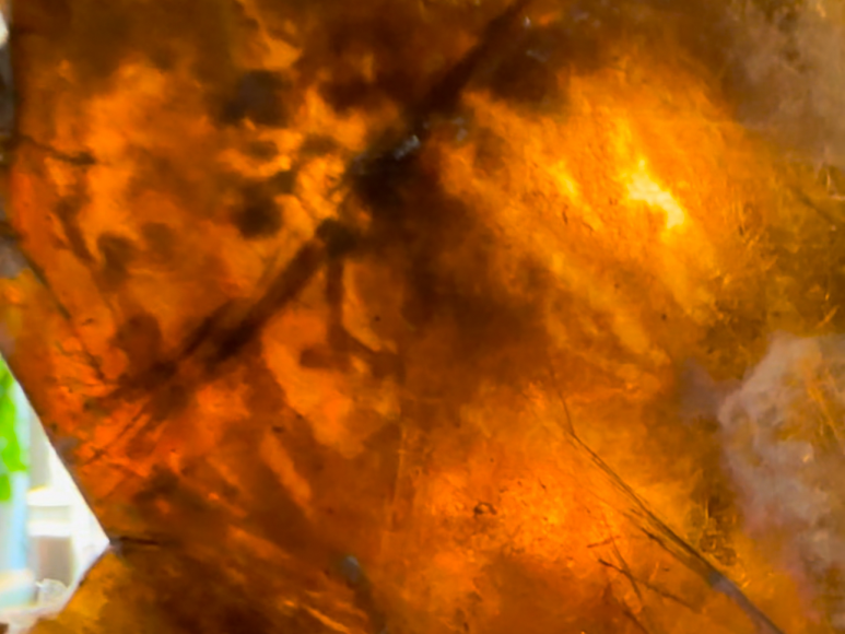 1735807717124262.png image.png